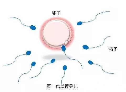 Dr. Li